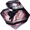 Lancôme La Nuit Trésor Eau de Parfum Vorschaubild