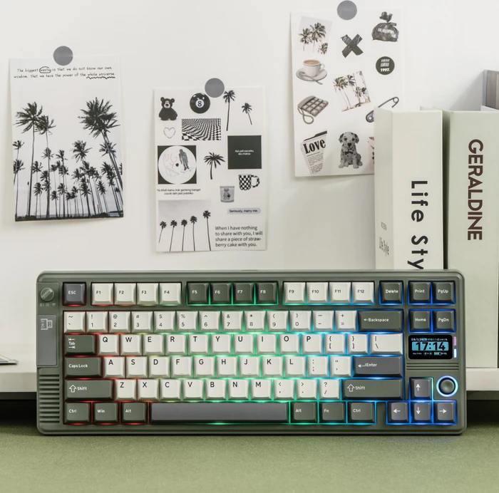 Epomaker RT85 Wireless, Green White, LEDs RGB, hot-swap, Epomaker Wisteria V2, USB/Bluetooth, US