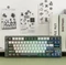 Epomaker RT85 Wireless, Green White, LEDs RGB, hot-swap, Epomaker Wisteria V2, USB/Bluetooth, US Vorschaubild