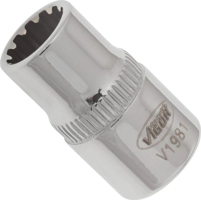 Vigor Außenzwölfkant Steckschlüssel 1/4", 8x25mm