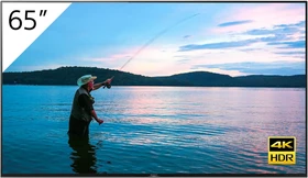 Sony FWD-65X95H/T, 65"