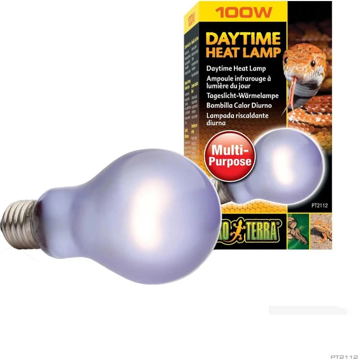 Exo Terra Daytime Heat, A19, 100W