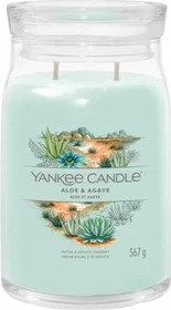 Yankee Candle Cactus Aloe & Agave Duftkerze, 567g