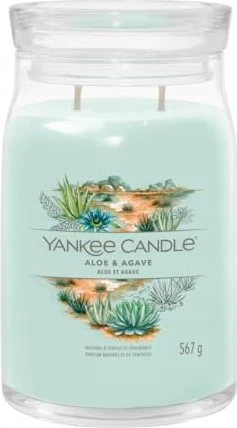 Yankee Candle Cactus Aloe & Agave Duftkerze, 567g