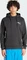 adidas Paris Graphic Hoodie schwarz (Herren) Vorschaubild