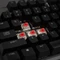 Mountain Everest Core, TKL, LEDs RGB, Gunmetal Gray, MX RGB RED, USB, US Vorschaubild