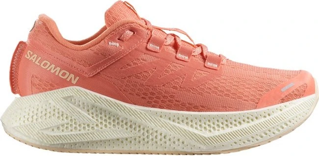 Salomon Aero Glide 3 (Damen)