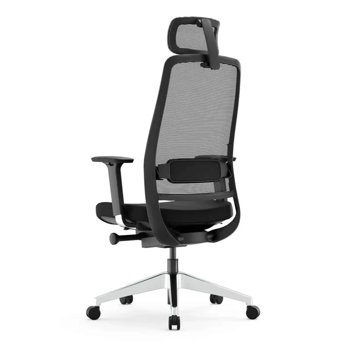 Yaasa Chair Expert Bürostuhl, schwarz