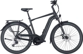 Pegasus Strong Evo 11 Lite 750Wh black matt Modell 2023 (Herren)