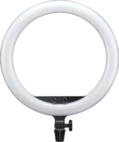 Godox LR150 schwarz