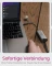 RaidSonic Icy Box IB-LAN301-C3 LAN-Adapter, RJ-45, USB-C 3.0 [Stecker] Vorschaubild