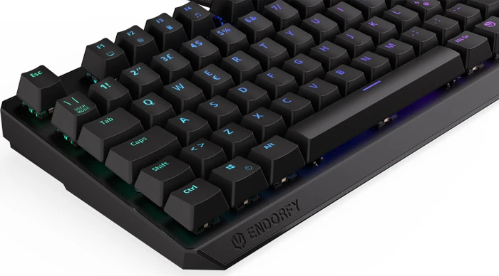 Endorfy Thock TKL, LEDs RGB, Kailh BROWN, USB, IT