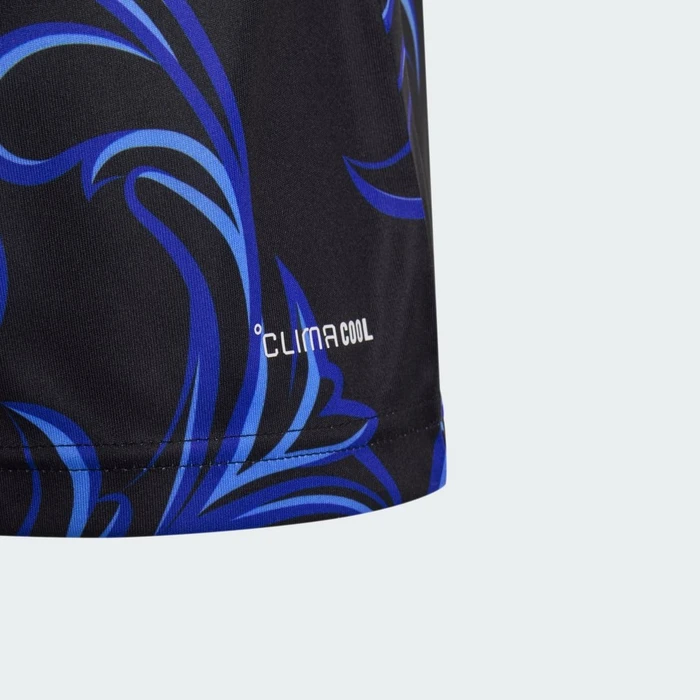 adidas FIFA WM 2026 Argentinien Auswärtstrikot kurzarm black/lucid blue/blue burst (Junior)