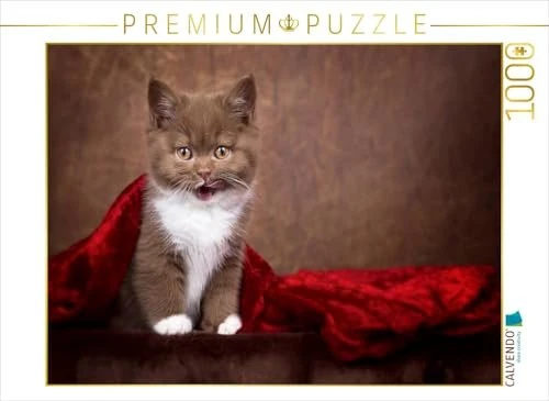 Calvendo Ein Motiv aus dem Kalender Kittens - Britisch Kurzhaar Katzenkinder