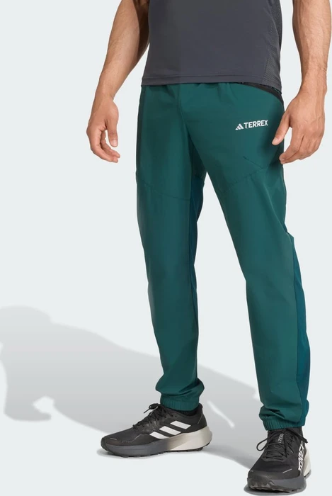 adidas Terrex Xperior Light Hose lang aurora ivy (Herren)