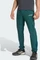 adidas Terrex Xperior Light Hose lang aurora ivy (Herren) Vorschaubild