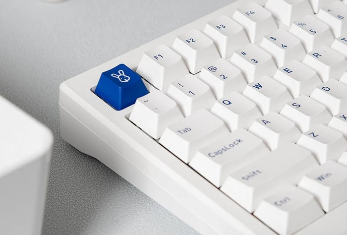 Akko MOD 007B PC, Blue on White, LEDs RGB, hot-swap, Ice Cream Purple, USB/Bluetooth, US