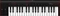 IK Multimedia iRig Keys 2 Vorschaubild