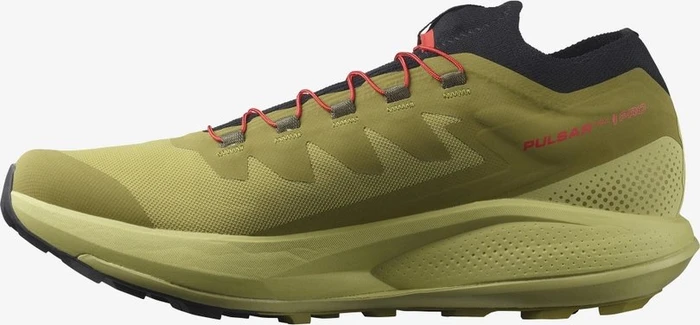 Salomon Pulsar Trail Pro leek green/green moss/black (Herren)
