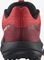 Salomon Pulsar Trail poppy red/biking red/black (Herren) Vorschaubild