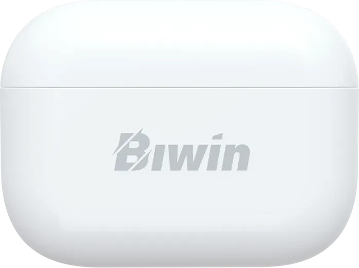 Biwin UD400 256GB, USB-C, USB 3.2 Gen 1×1