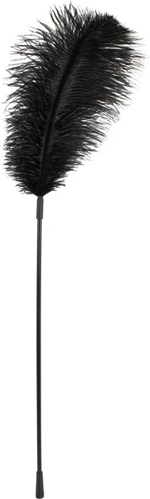 You2Toys Bad Kitty Feder schwarz