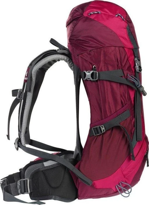 Deuter Futura 24 SL blackberry/magenta (Damen)