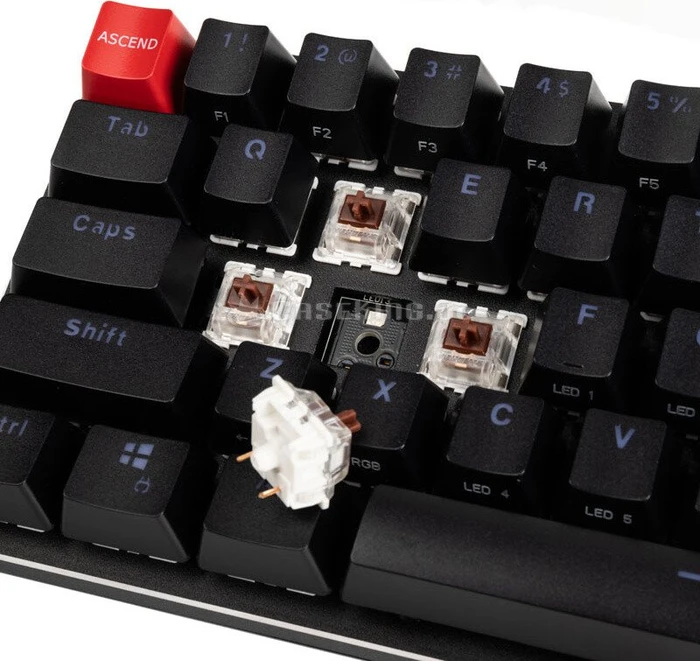 Glorious GMMK Compact, ABS, schwarz/silber, Gateron BROWN, USB, US