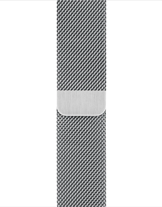 Apple Watch Series 6 (GPS + Cellular) 40mm Edelstahl silber mit Milanaise-Armband silber