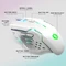 Empire Gaming RF-903 Wireless Mouse weiß, USB Vorschaubild