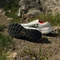 adidas Terrex Agravic Speed 2 cloud white/core black/semi impact orange (Herren) Vorschaubild