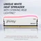 Kingston FURY Beast RGB Special Edition UDIMM 32GB Kit, DDR4-3600, CL18-22-22, 1RX8 Vorschaubild
