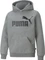 Puma Essentials Big Logo Hoodie (Junior) Vorschaubild