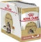 Royal Canin Maine Coon Vorschaubild