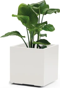 euro3plast Greener Kebe Pflanzkasten 40x40cm weiß