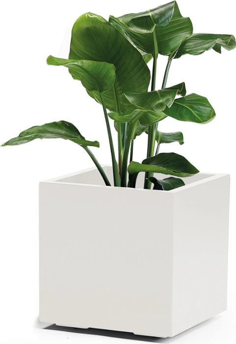 euro3plast Greener Kebe