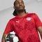 Puma RB Leipzig Pre-Match 2024/2025 Trikot kurzarm (Herren) Vorschaubild