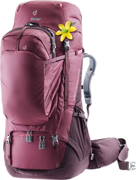 Deuter Aviant Voyager 60+10 SL maron/aubergine (Damen)