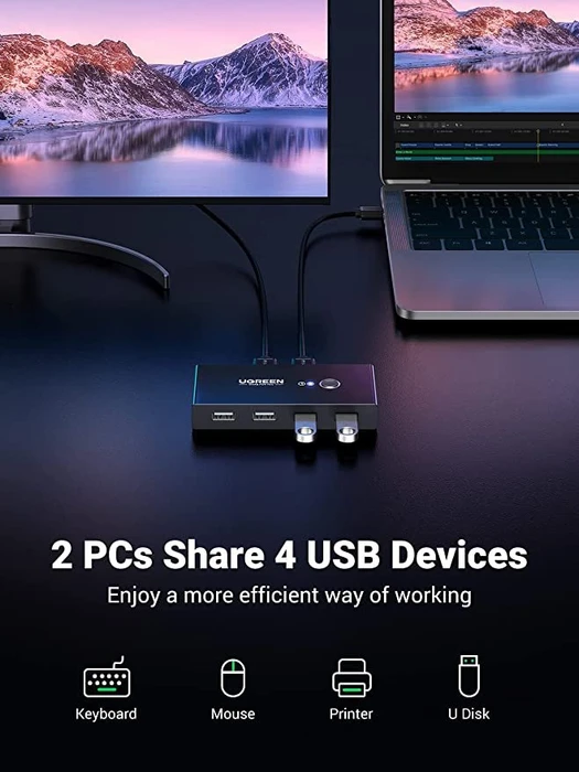 Ugreen USB 2.0 Switch, 2 In, 4 Out
