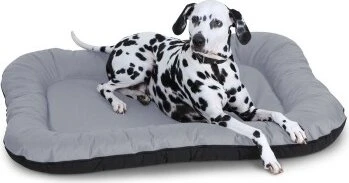 Knuffelwuff Hundebett Lucky, XXL, grau