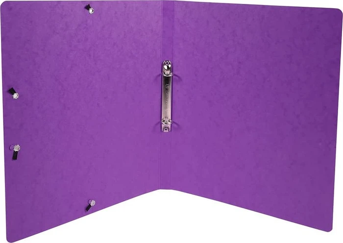 Exacompta Iderama Ringbuch 2-Ring, 20mm, A4, violett