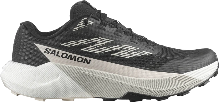 Salomon Pulsar (Herren)