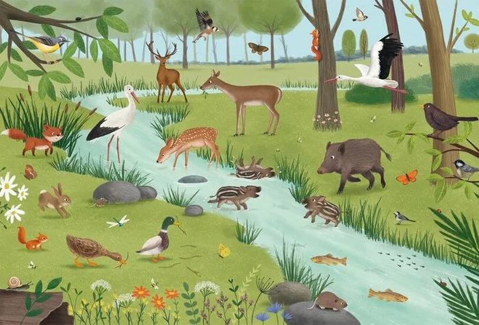 Schmidt Spiele Wald- und Wiesentiere
