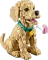 LEGO Icons - Golden Retriever Welpe Vorschaubild