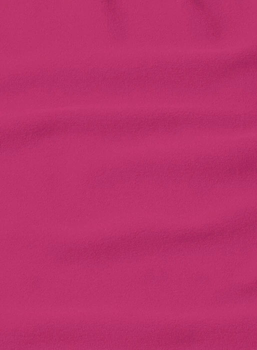 Jack Wolfskin Baiselberg Hoody FZ Jacke new magenta (Damen)