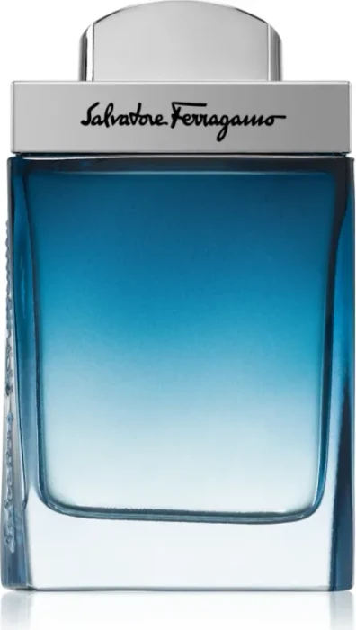 Salvatore Ferragamo Subtil pour Homme Eau de Toilette, 50ml