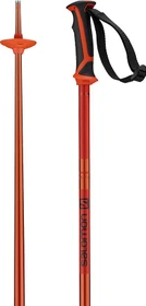 Salomon Arctic Alpin Skistock orange (Modell 2018/2019)