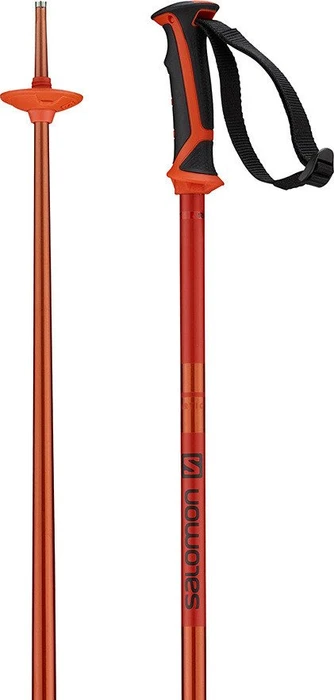 Salomon Arctic Alpin Skistock orange (Modell 2018/2019)