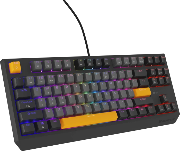 Genesis Thor 230 TKL, Anchor Gray Negative, LEDs RGB, hot-swap, Outemu Red, USB, US