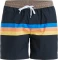 Quiksilver Everyday Straight 15" Badeshorts (Herren) Vorschaubild